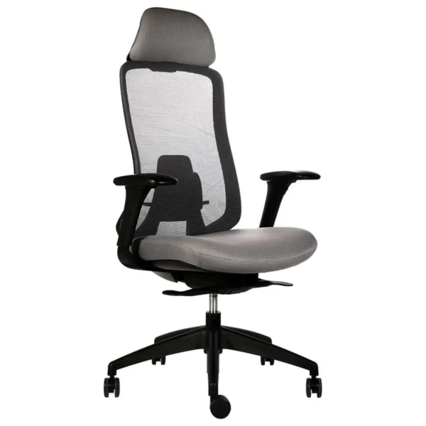 Silla Gerencial Allegra ergonómica con respaldo curvado y soporte lumbar ajustable