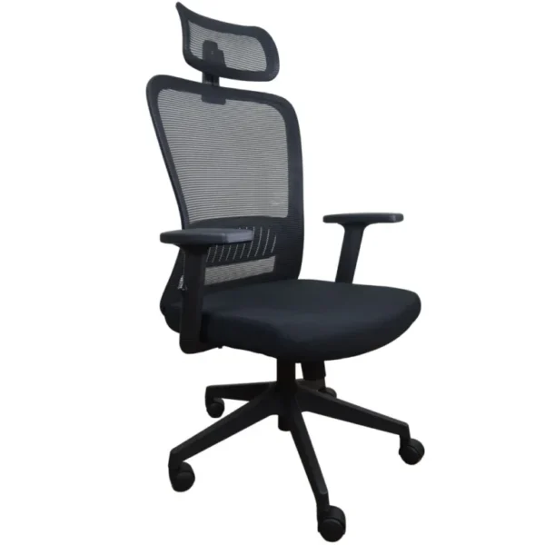 Silla Ejecutiva Eko Ergo