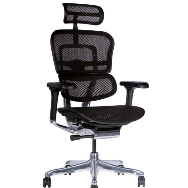 Ergohuman Elite Malla vista diagonal – silla gerencial ergonómica con respaldo en malla y apoyabrazos ajustables.